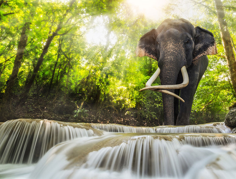 Erawan Falls